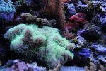 IMG_9034.jpg