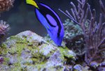 IMG_9114sm.jpg