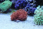 IMG_9189sm.jpg