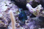 IMG_9179sm.jpg