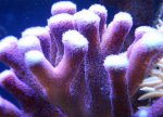 DSC05918.jpg