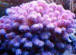 DSC05920.jpg