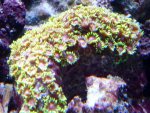 P1020179.jpg