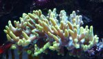 P1020160.jpg