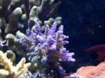 P1020161.jpg