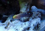 DSC05993.jpg