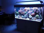 DSC05997.jpg