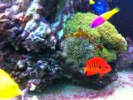 IMG_0763.jpg