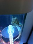 IMG_0785.jpg IMG_0785.jpg