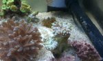 2012-02-20 21.33.29.jpg