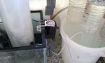 2012-02-23 14.38.48.jpg