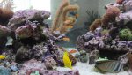 IMG_9735 passage2.jpg