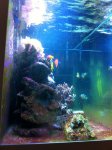 IMG_0814.jpg IMG_0814.jpg