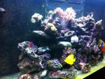 IMG_0827.jpg IMG_0827.jpg