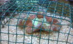 2012-03-29 19.25.57.jpg