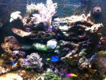 IMG_0913.jpg IMG_0913.jpg