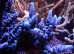 DSC06016.jpg