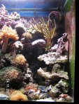 PICT0041.JPG