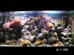 PICT0035.JPG