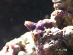 PICT0145.JPG