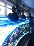 IMG_1831.jpg