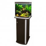 aquatlantis-aquarium-.jpg