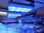 Led 006.jpg