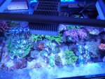 Led 008.jpg