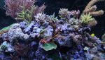 IMG_0878 eiland2 front s.jpg