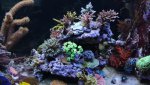 IMG_0879 eiland3 front s.jpg