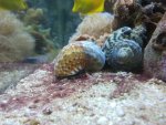 2012-06-06 19.40.48.jpg