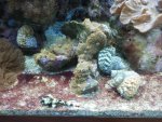 2012-06-06 19.41.28.jpg
