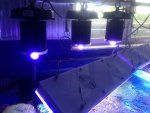 IMG_0433.jpg