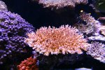 IMG_5886.jpg