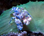DSC06161.jpg