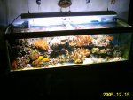 15-12-2005 016.JPG