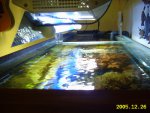 26-12-2005 016.jpg