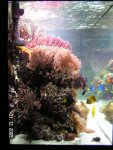 PICT0017.JPG
