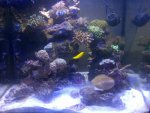 IMG-20121003-00220.jpg