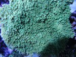 DSC04096.jpg