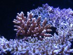 DSC04099.jpg