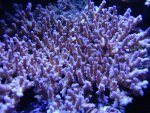 DSC04101.jpg