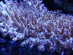 DSC04103.jpg