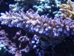 DSC04105.jpg