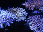 DSC04114.jpg