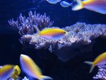 DSC04115.jpg