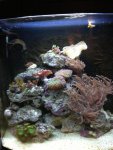 ImageUploadedByTapatalk1350582807.891278.jpg