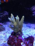 image-4284167878.jpg