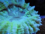 DSCN0567.jpg