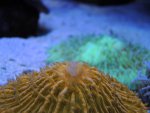 DSCN0569.jpg